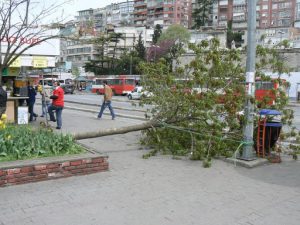 Turkey, Istanbul - after a wind storm