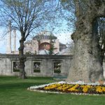 Turkey, Istanbul - Sultan's Garden at Blue Mosque  looking toward