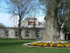 Turkey, Istanbul - Sultan's Garden at Blue Mosque  looking toward