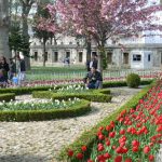 Turkey, Istanbul - visitor posing in Sultan's Garden at Blue