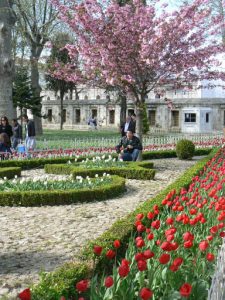 Turkey, Istanbul - visitor posing in Sultan's Garden at Blue