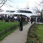 Turkey, Istanbul - dogs playing in park at the ferry