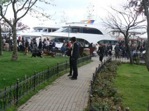 Turkey, Istanbul - dogs playing in park at the ferry