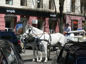 Odessa, Ukraine - tourist horse carriage taxi