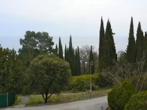 Looking over the palace gardens to the Black Sea