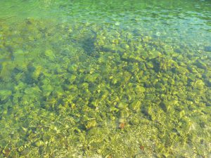Clear water at Kotor harbor