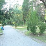 Montenegro, Podgorica: one of several parks