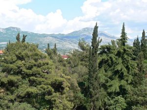 Montenegro, Podgorica: mountains beyond the city