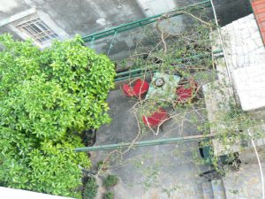 Croatia, Split City: small patio in a backyard