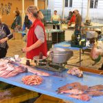 Croatia, Split City: fish market