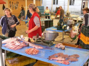 Croatia, Split City: fish market