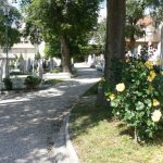 Bosnia-Herzegovina, Mostar City: the old town cemetery is filled with