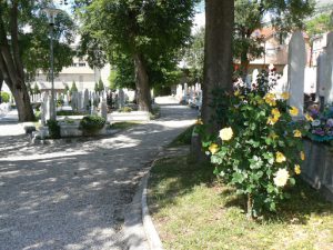 Bosnia-Herzegovina, Mostar City: the old town cemetery is filled with