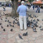 Bosnia-Herzegovina, Sarajevo City: old town  'Pigeon Square'