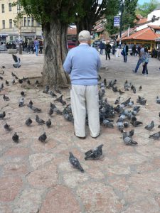 Bosnia-Herzegovina, Sarajevo City: old town  'Pigeon Square'