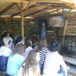Sarajevo Tunnel Museum: lectures about the war are  given to