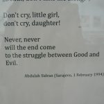 Bosnia-Herzegovina: Sarajevo War Museum exhibit; final words