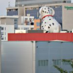 Serbia, Belgrade: big dog on a building