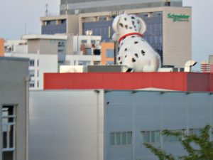 Serbia, Belgrade: big dog on a building