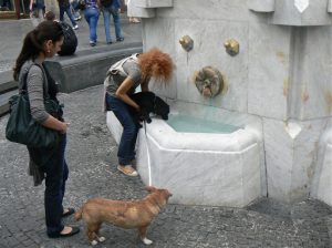 Serbia, Belgrade: old town water fountain