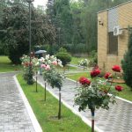 Serbia, Belgrade: approaching the House of Flowers is a park