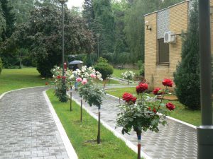 Serbia, Belgrade: approaching the House of Flowers is a park