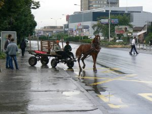 Macedonia, Skopje: Roma horse cart