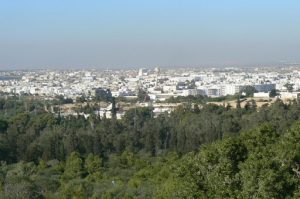 Tunisia: overview of modern Carthage