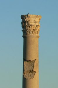 Tunisia: Carthage - column detail
