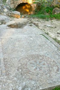 Tunisia: Carthage - mosaic floor in the Antonine baths