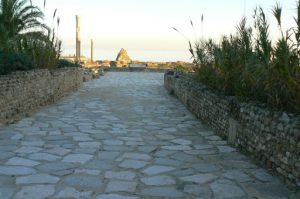 Tunisia: Carthage - main roadway of the Antonine baths