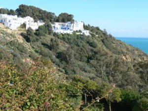 Tunisia, Sidi Bou Said upscale mansions near Ennejma Ezzahra