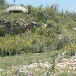 Albania, Saranda city -  one of thousands of rounded bunkers that