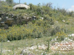 Albania, Saranda city -  one of thousands of rounded bunkers that
