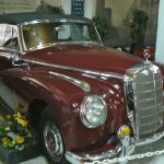 Serbia, Belgrade Auto Museum car display -  1955 Mercedes 300C