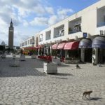 Tunisia, La Marsa - cobblestone pedestrian street with shops and