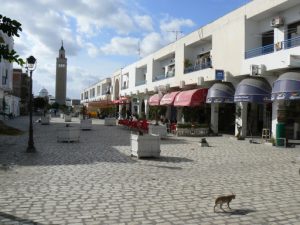 Tunisia, La Marsa - cobblestone pedestrian street with shops and