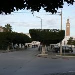 Tunisia, La Marsa - trimmed trees