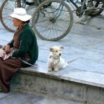 Tibet, Lhasa: a local woman pauses in Barkhor Square with