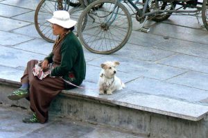 Tibet, Lhasa: a local woman pauses in Barkhor Square with