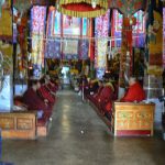 Tibet: Lhasa - Buddhist temple monks chanting