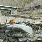 Tibet: child hiding behind stone wall of his house.