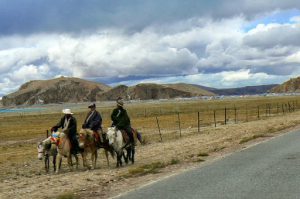 Tibet: native farmers