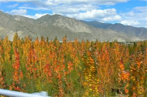 Tibet: Lhasa city - driving across the Lhasa River delta