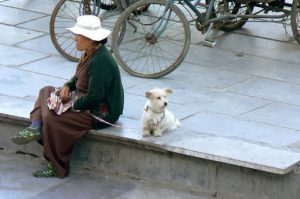 Tibet: Lhasa - Tibetan Quarter of the city;  Barkhor Square