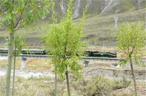 Tibet: Lhasa - train from Lhasa to Beijing; 42 (+/-)