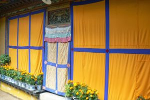 Tibet: Lhasa - Summer Palace Brightly colored curtains mask palace details