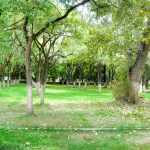 Tibet: Lhasa - Summer Palace gardens.