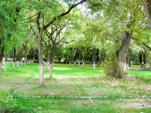 Tibet: Lhasa - Summer Palace gardens.