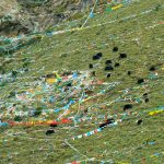 Tibet: Lhasa - Pabonka Monastery.  Above the monastery are very